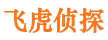 通许市调查公司